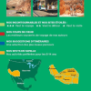 Sud-Ouest américain - Guide Vert Michelin – Image 2