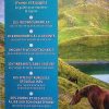 Pyrénées - Explorer la région - Guide Lonely Planet - Image 3