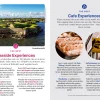 Helsinki - Lonely Planet's Pocket Guide - Image 3