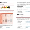 Hungarian - Lonely Planet's phrasebook & dictionnary – Image 7