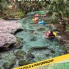 Florida & the Southeast - Lonely Planet map - Image 2