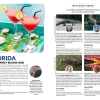 Florida - Lonely Planet Guide book - Image 4