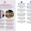 Las Vegas - Lonely Planet's Pocket Guide - Image 4