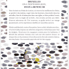 Bruxelles L'Autre Guide - Éditions Jonglez – Image 5