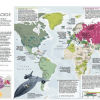 L'Histoire du Monde par les Cartes - Hurtubise (Coup de coeur!) – Image 5