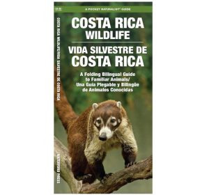 Faune du Costa Rica Wildlife - Waterford Press