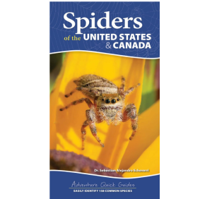 Spiders of the United States - Adventure Publications