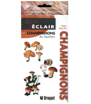 Champignons du Québec - Guide éclair - Broquet
