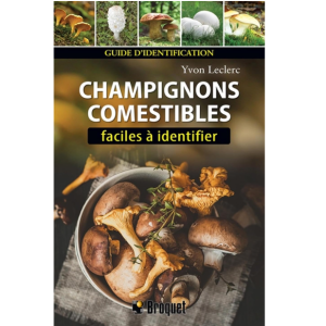 Champignons faciles à identifier - Broquet