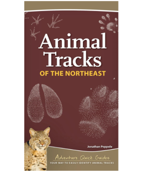 Animal Tracks - Guide - Adventure Publications